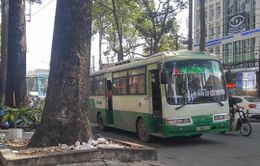 Cấm hành nghề tài xế xe bus tấn công người đi đường