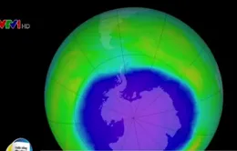 Lỗ hổng tầng Ozone đang phục hồi