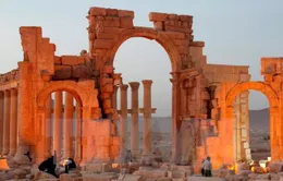 Syria thừa nhận thành cổ Palmyra một lần nữa rơi vào tay IS