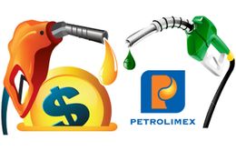 Petrolimex đầu tư ngoài ngành hơn 2.000 tỷ sai quy định