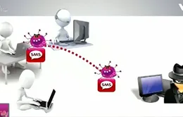 78% phần mềm dùng ở Việt Nam không có bản quyền
