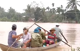 Nước lũ lên cao bao vây nhiều nơi ở Quảng Ngãi