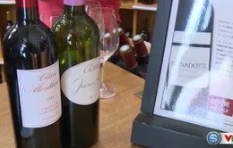 L’Intendant – thương xá rượu vang nổi tiếng của Bordeaux