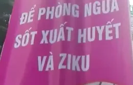 Sai chính tả trên pano tuyên truyền chống sốt xuất huyết, Zika