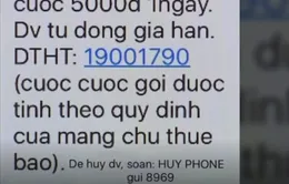 Sam Media “móc túi” khách hàng: Nhà mạng phải có trách nhiệm đầu tiên