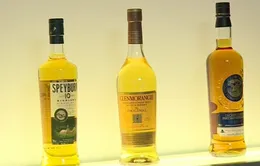 DN sản xuất rượu whisky Scotland hưởng lợi nhờ Brexit