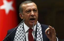 Tổng thống Thổ Nhĩ Kỳ đề xuất sửa đổi Hiến pháp