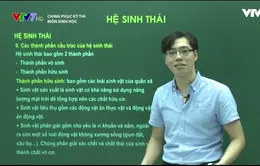 Ôn tập môn Sinh học: Hệ sinh thái