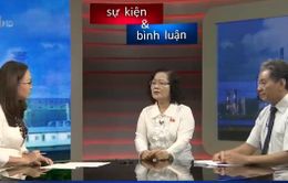 Làm sao kiểm soát xả thải công nghiệp hiệu quả sau vụ Formosa?