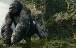 Vì sao đoàn làm phim “Kong: Skull Island” chọn Việt Nam để ghi hình?