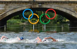 Bơi marathon tại Olympic và những khoảnh khắc ấn tượng