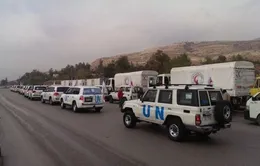 LHQ viện trợ nhân đạo tới thị trấn Madaya, Syria