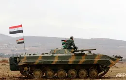 Thỏa thuận ngừng bắn trên toàn Syria bắt đầu có hiệu lực