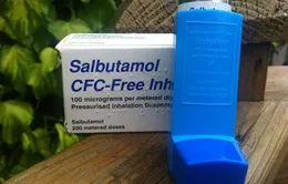 Tái nhập Salbutamol: Nguy cơ tái sử dụng sai mục đích trong chăn nuôi