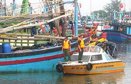 Bình Định giúp ngư dân tránh trú bão