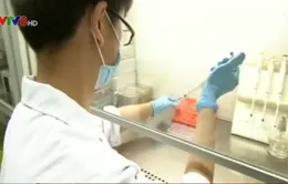 Trung Quốc dùng tế bào gốc điều trị bệnh bạch cầu