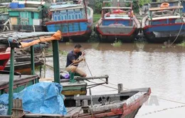 Đẩy nhanh các phương án phòng chống bão số 3