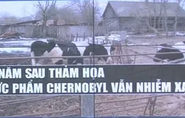 30 năm sau thảm họa hạt nhân, thực phẩm ở Chernobyl vẫn nhiễm xạ