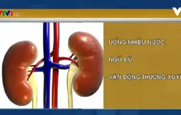 Cách phòng các bệnh liên quan đến thận