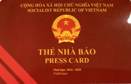 Bộ Thông tin và Truyền thông ra quyết định thu hồi 4 thẻ nhà báo