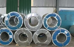 Hiệp hội Thép: Thép cuộn nhập khẩu có biểu hiện lẩn tránh thuế tự vệ