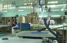 Thi hành án không đúng đối tượng, 500 công nhân đứng trước nguy cơ mất việc