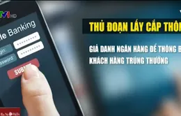 Cảnh báo lừa đảo, lấy cắp thông tin tài khoản ngân hàng
