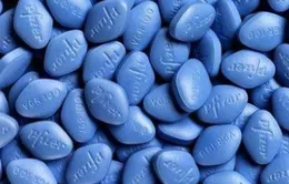 Đột kích ổ làm thuốc Viagra giả lớn nhất thế giới