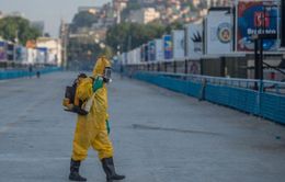 Tổng thống Brazil kêu gọi đối phó virus Zika