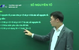 Trường học mở: Số nguyên tố