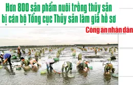 Điểm báo 21/7: Tranh nhau chỗ đỗ máy bay qua đêm