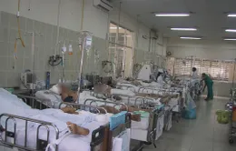 Tai nạn gia tăng, nhiều người ăn Tết trong bệnh viện