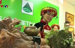 Trổ tài pha chế trà trong cuộc thi Tea Masters Cup Việt Nam 2016