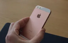 iPhone SE xách tay ế ẩm sau khi về Việt Nam