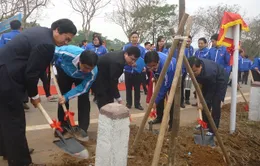 Tuổi trẻ Thủ đô hưởng ứng lời kêu gọi Tết trồng cây đầu năm mới