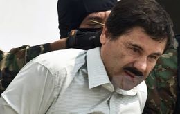 Mexico bắt trùm ma túy khét tiếng El Chapo