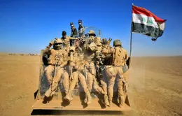 Quân đội Iraq giành lại nhiều thị trấn quan trọng gần Mosul từ tay IS