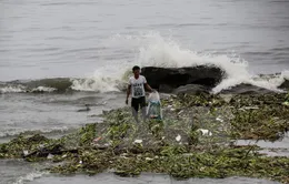 Hơn 12.000 người dân Philippines phải sơ tán do bão