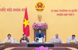 Khai mạc phiên họp thứ 3 Ủy ban Thường vụ Quốc hội