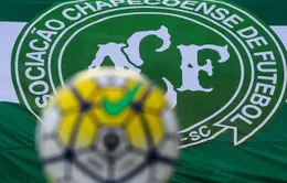 ĐT Brazil và ĐT Colombia tổ chức đá giao hữu ủng hộ Chapecoense