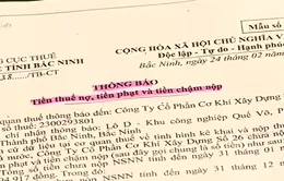 Nhà thầu phụ bị phạt vì chậm nộp thuế: Có hợp lý?