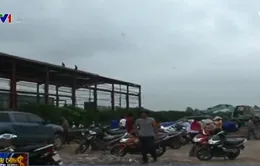 Hà Nội thu hồi hơn 12.000m2 đất nông nghiệp bị lấn chiếm