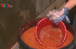 Rùng mình tương ớt "ngậm" hóa chất và dòi