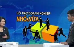 "Việt Nam không giàu để hỗ trợ hoành tráng cho doanh nghiệp nhỏ và vừa"