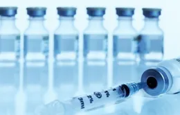 Brazil phát triển vaccine phòng sốt xuất huyết