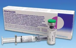 Đăng ký tiêm vaccine Pentaxim: Huy động nhiều người đăng ký mà không được