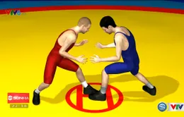 Tìm hiểu về các nội dung trong môn Vật tại Olympic