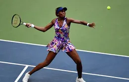 US Open 2016: Venus dễ dàng giành quyền vào vòng 3