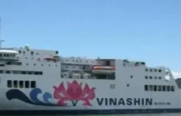 Kết luận điều tra vụ án tham ô tại Vinashin Lines