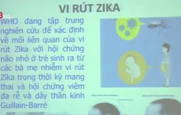 Đăk Lăk triển khai công tác phòng chống Zika